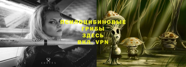 крисы Аркадак