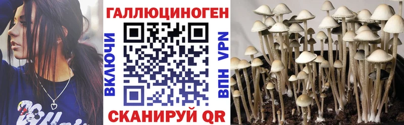 Галлюциногенные грибы Psilocybe  Обоянь 